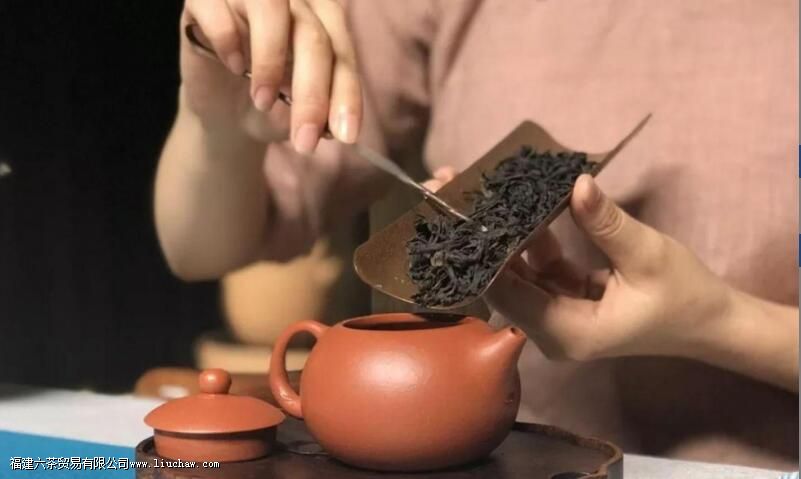 乌龙茶用什么泡 乌龙茶用什么泡