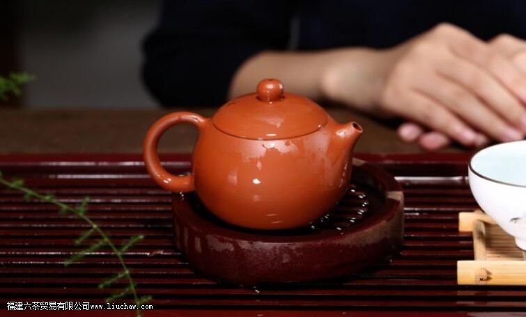 吸水性可以判断紫砂壶的好坏吗 吸水性可以判断紫砂壶的好坏吗