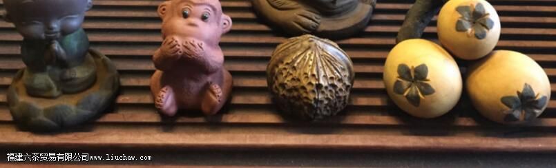 怎么养茶宠 怎么养茶宠