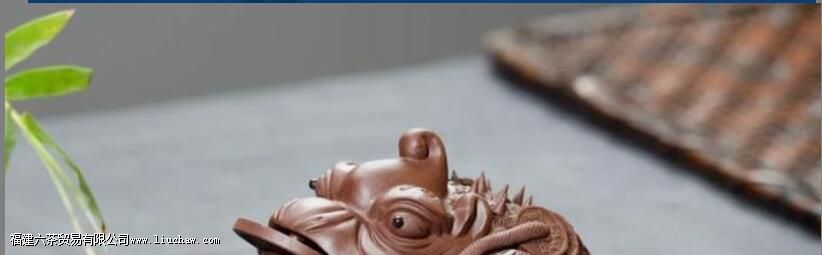 怎么养茶宠 怎么养茶宠