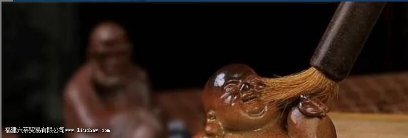 怎么养茶宠 怎么养茶宠