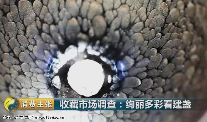 ��Щ�仯��ǧ�ĵ��ս�յ��������������ɵģ�