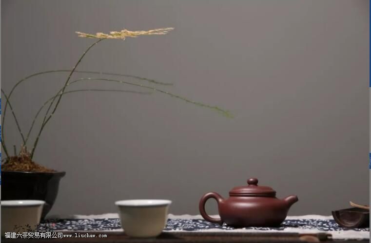 紫砂壶好不好,离不开这4条标准! 紫砂壶好不好,离不开这4条标准!