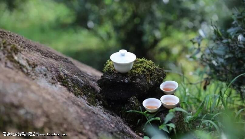 紫砂壶和盖碗,用谁泡茶更胜一筹 紫砂壶和盖碗,用谁泡茶更胜一筹