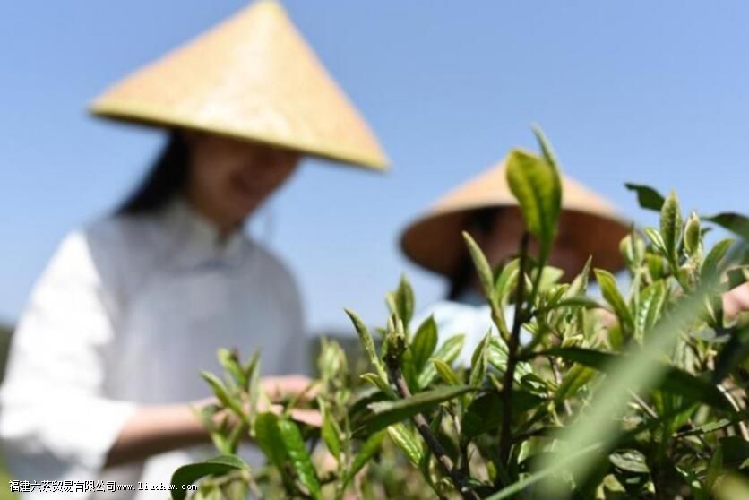 ��ĵ�����