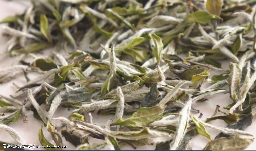 ��ĵ�����