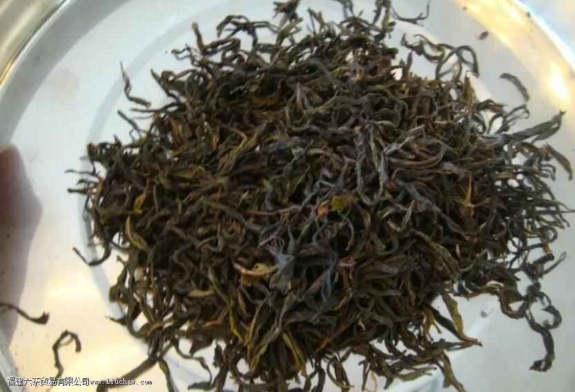 北回归线上的“茶中香水”,从“出生”就赢在了起跑线上 北回归线上的“茶中香水”,从“出生”就赢在了起跑线上