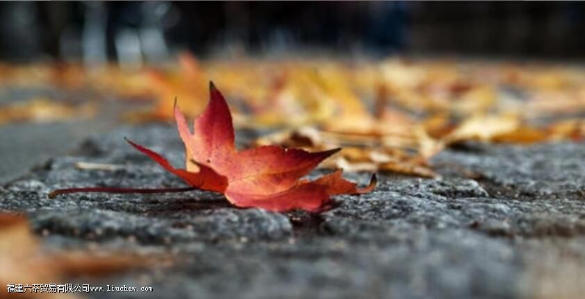 ����һ�£�����һ�ˣ�������·���������ڱ���������ǰ��