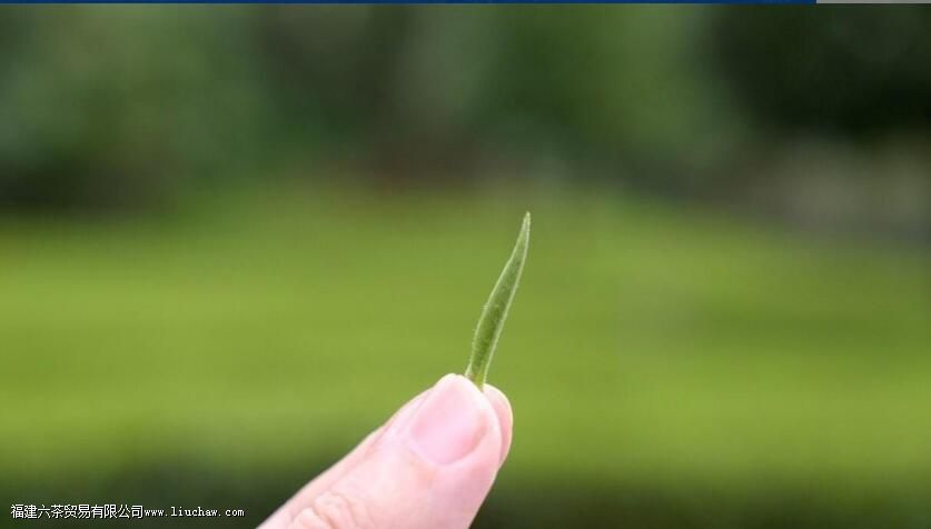 �軰  �Ȳ���񫣬����������һ������​