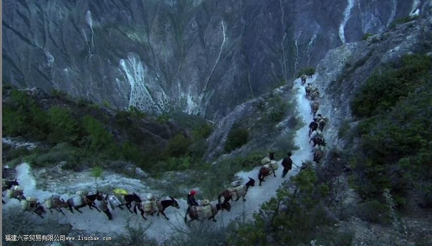 茶马古道的历史意义 茶马古道的历史意义