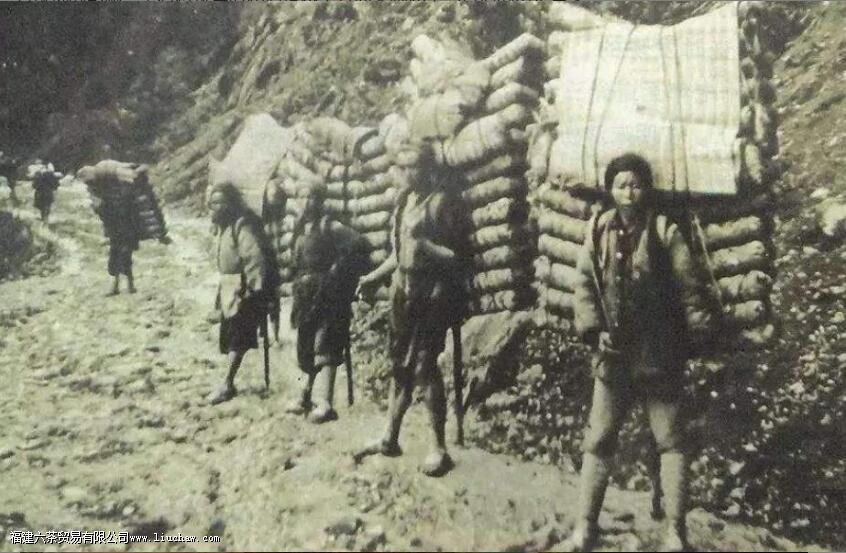 茶马古道的历史意义 茶马古道的历史意义