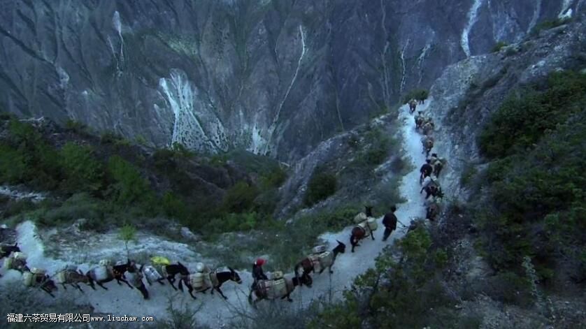 �����ŵ��������յ�