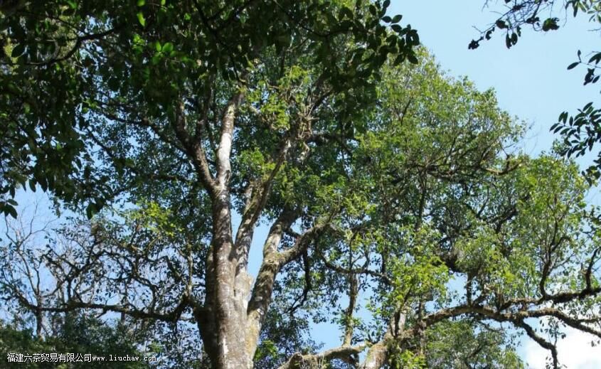 ��ʲôʱ��������й�