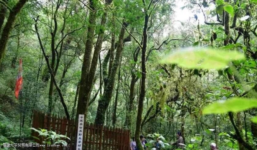 ��ʲôʱ��������й�