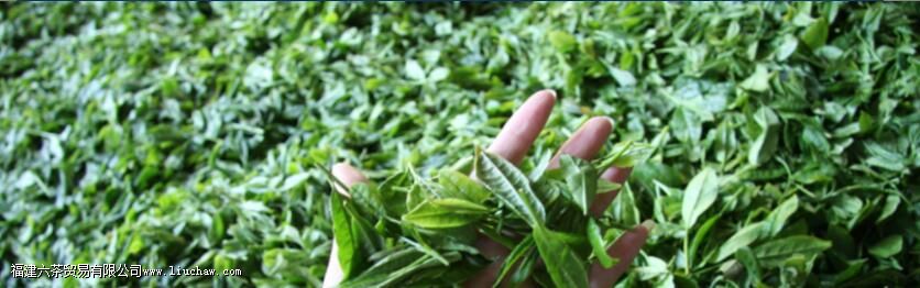 ��ʲôʱ��������й�