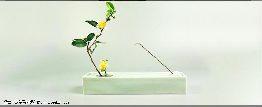 ���Ҳ廨��Ŀ��