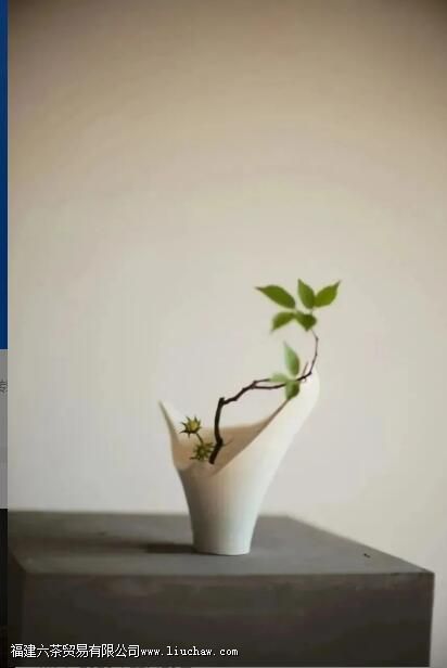 茶室插花六大讲究,瞬间提升喝茶格调 茶室插花六大讲究,瞬间提升喝茶格调