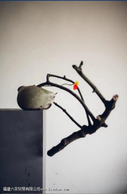 茶室插花六大讲究,瞬间提升喝茶格调 茶室插花六大讲究,瞬间提升喝茶格调