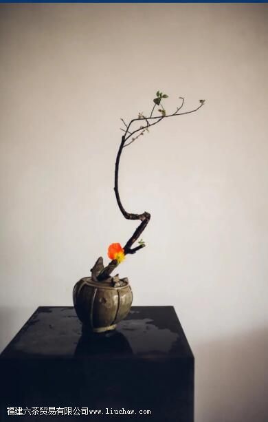 茶室插花六大讲究,瞬间提升喝茶格调 茶室插花六大讲究,瞬间提升喝茶格调