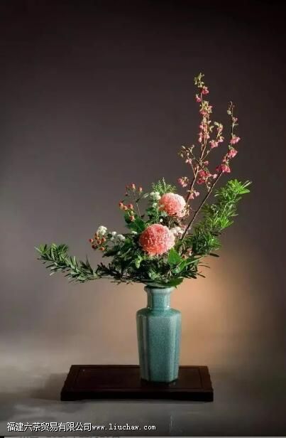 茶室插花六大讲究,瞬间提升喝茶格调 茶室插花六大讲究,瞬间提升喝茶格调