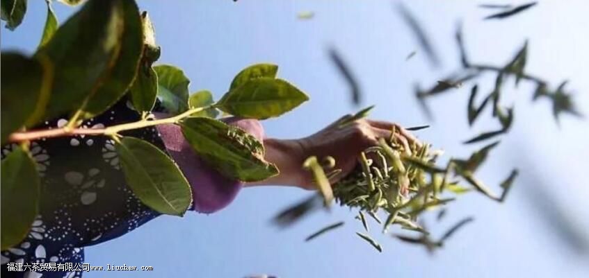 �����γ����㽭��ʲôɽ