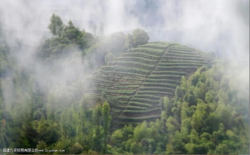 ���ﾲ�����ŵľ���