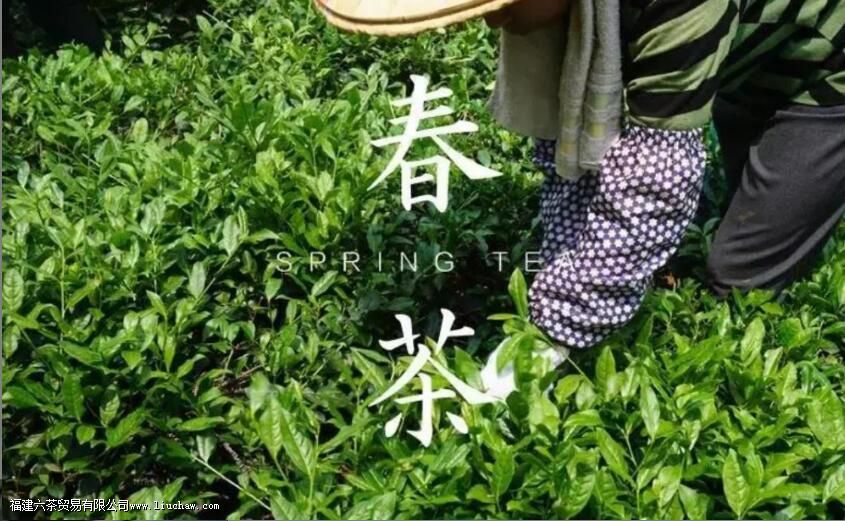 ����ʮ�һյ���������Ŀ�����