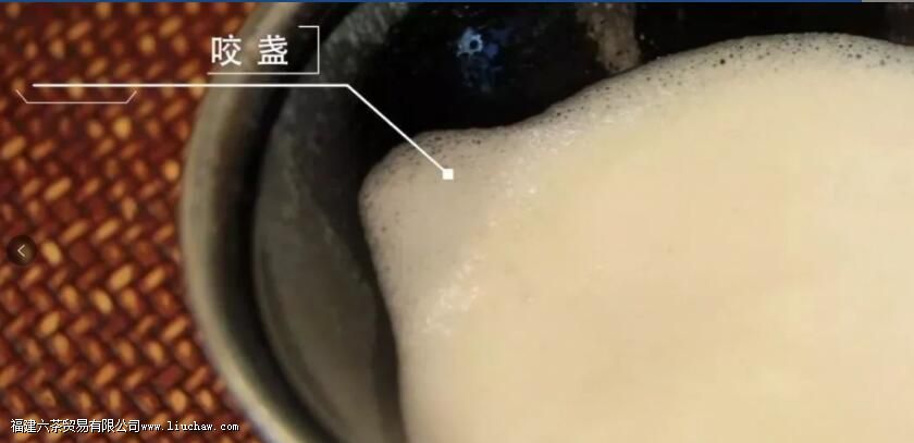 点茶是兴盛于哪个朝代的 点茶是兴盛于哪个朝代的