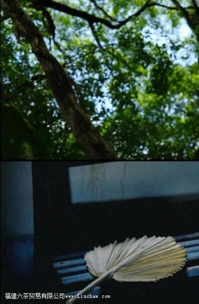 �Դ�����ҪԲ�ڣ����Լ�Ҫ���ݡ�����