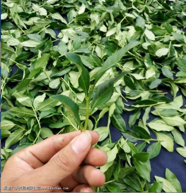 ����������������ʹ�˵