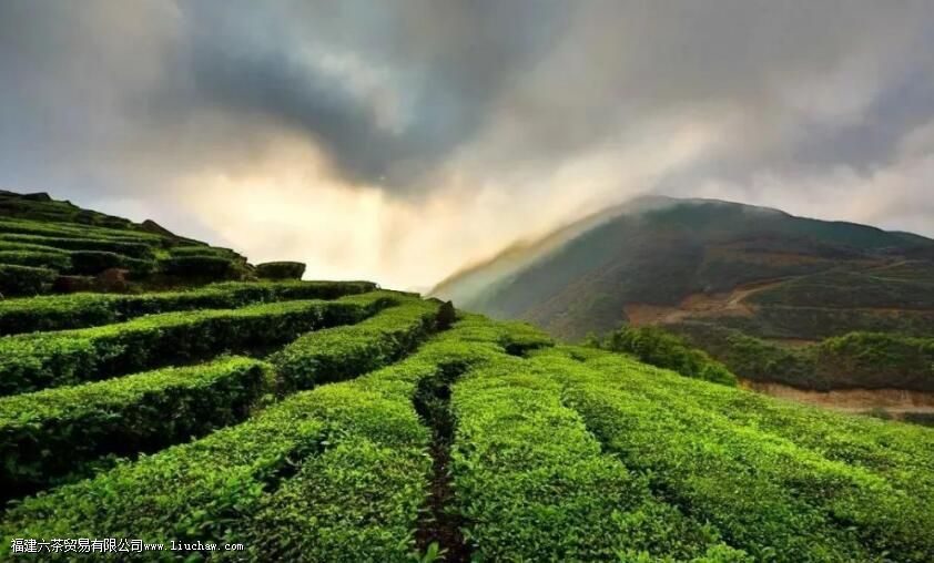 赣南采茶戏最早出现于江西省赣州市哪里 赣南采茶戏最早出现于江西省赣州市哪里