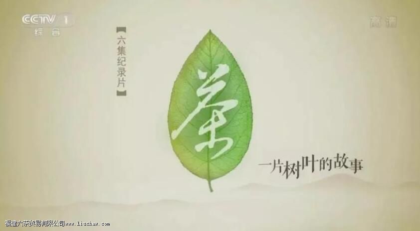 关于茶的书籍有哪些 关于茶的书籍有哪些