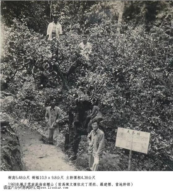 �������á�������������Ĺ���