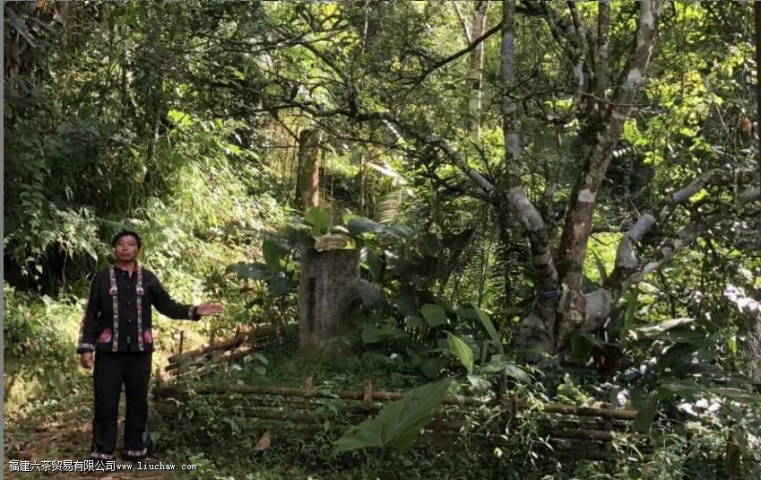 �������á�������������Ĺ���