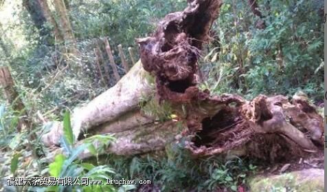 �������á�������������Ĺ���