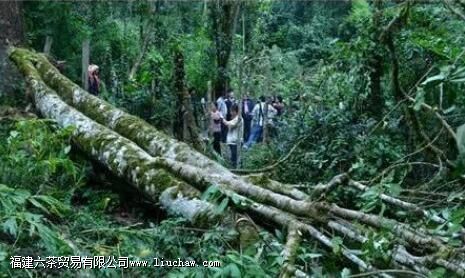 �������á�������������Ĺ���