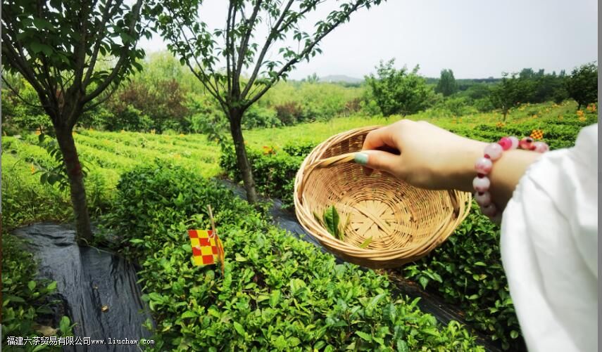 �Ȳ裬��ƽ���������һ���Ҹ���ζ��