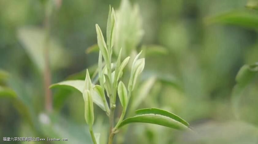 �Ȳ裬��ƽ���������һ���Ҹ���ζ��