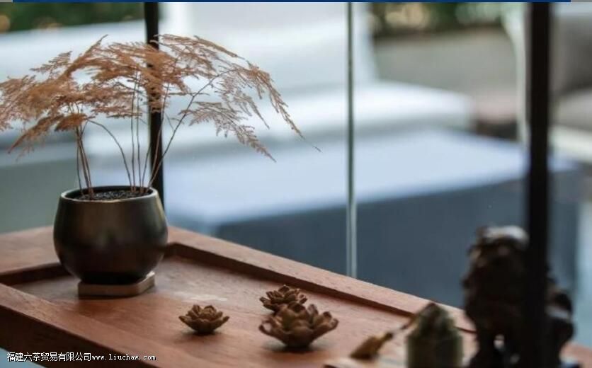 喝茶的5种智慧,送给爱茶的你 喝茶的5种智慧,送给爱茶的你