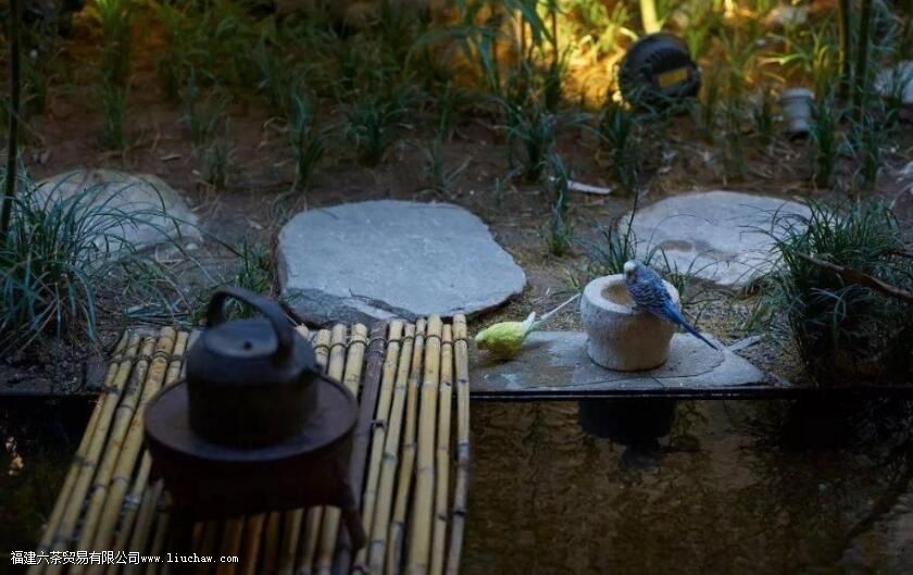 喝茶的5种智慧,送给爱茶的你 喝茶的5种智慧,送给爱茶的你