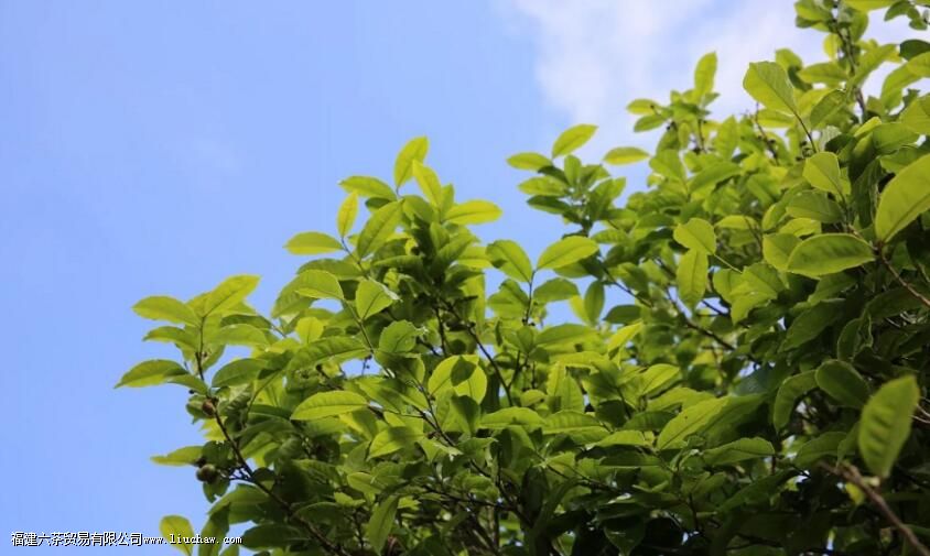 ����ƽ������һ���˳���ı�־