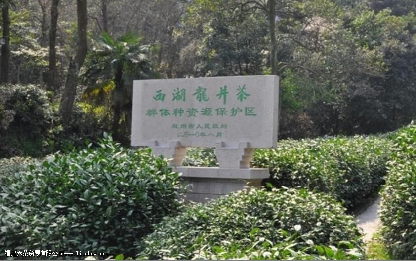 龙井茶的文化与传承 龙井茶的文化与传承