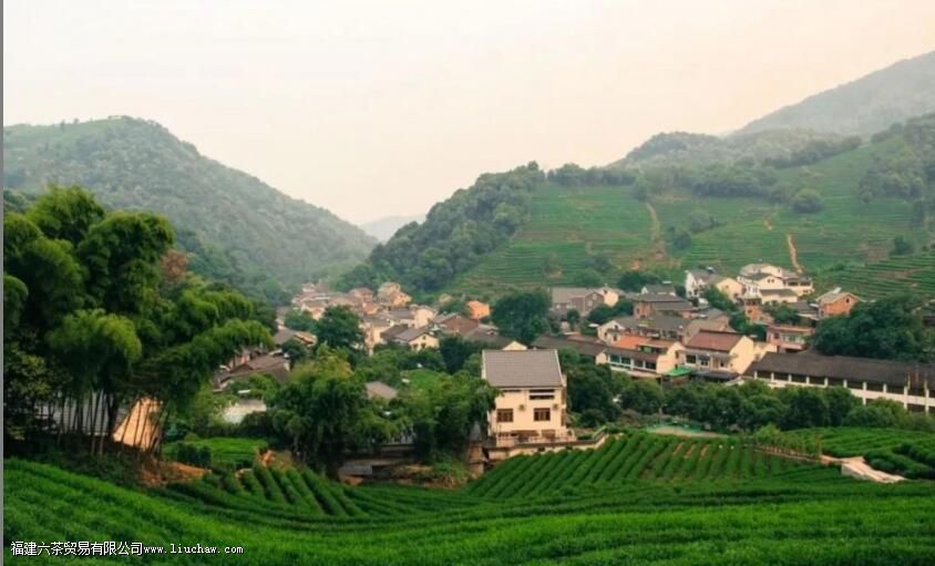 龙井茶的文化与传承 龙井茶的文化与传承