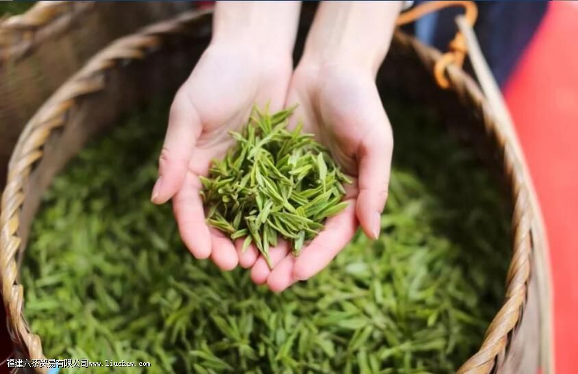 龙井茶的文化与传承 龙井茶的文化与传承