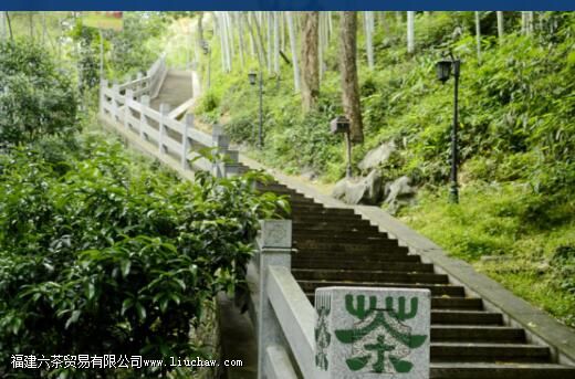 龙井茶的文化与传承 龙井茶的文化与传承