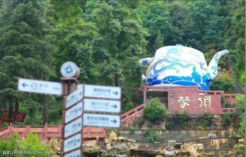 �ɶ���¶�ĵ��