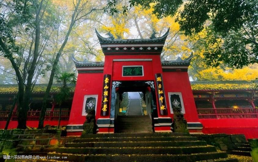 �ɶ���¶�ĵ��