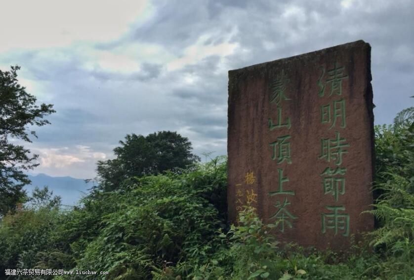 �ɶ���¶�ĵ��