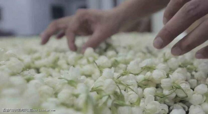 ���򻨲����ʷ