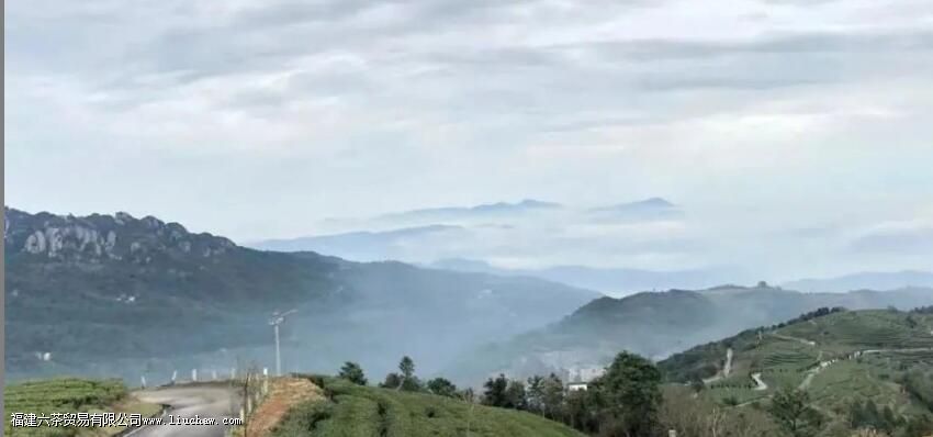 �����ţ������ţ����ײ����ĵ�����